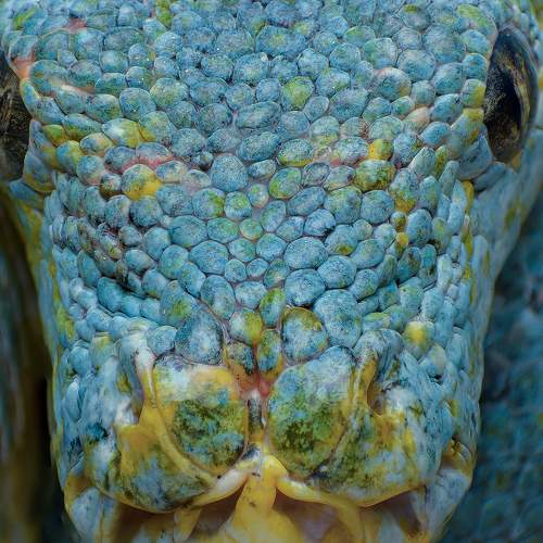 Photo #9325790