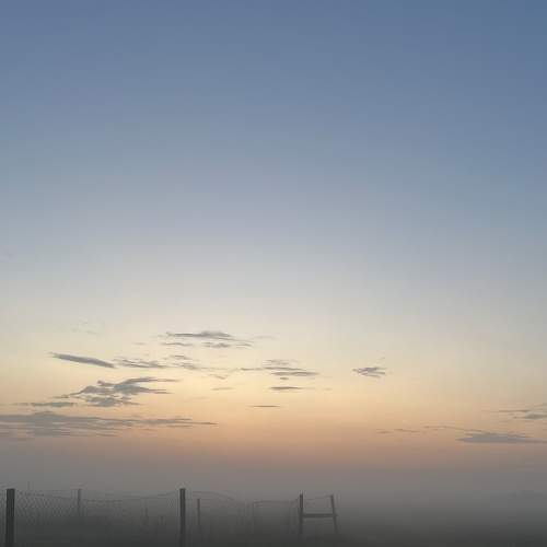 Photo #9325791