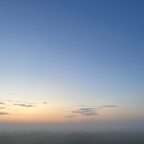 Photo #9325792