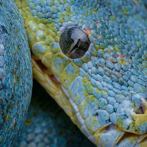 Photo #9326553