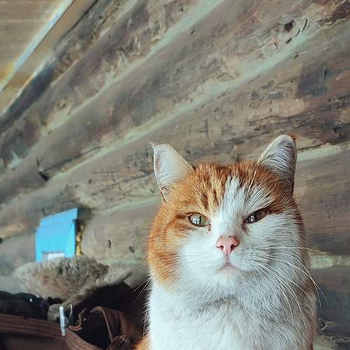 Photo #9326977