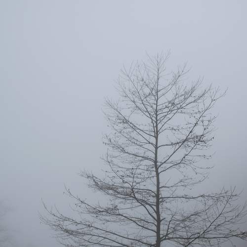 Photo #9327045