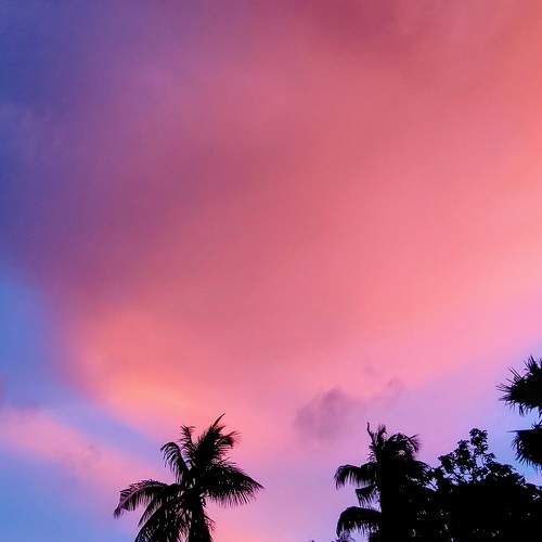 Photo #9327343