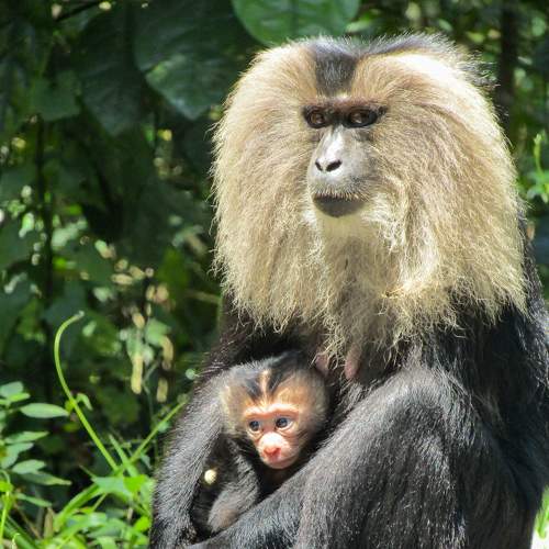 Photo #9327703