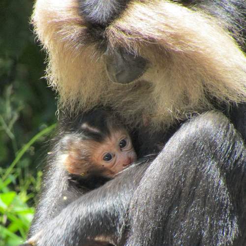 Photo #9327705