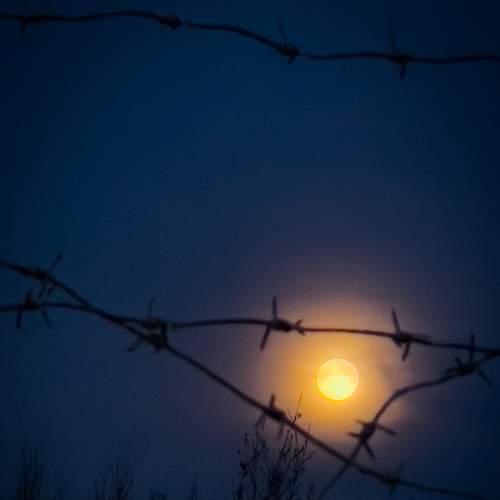 Photo #9328143