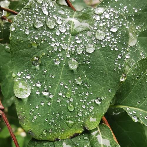 Photo #9328146