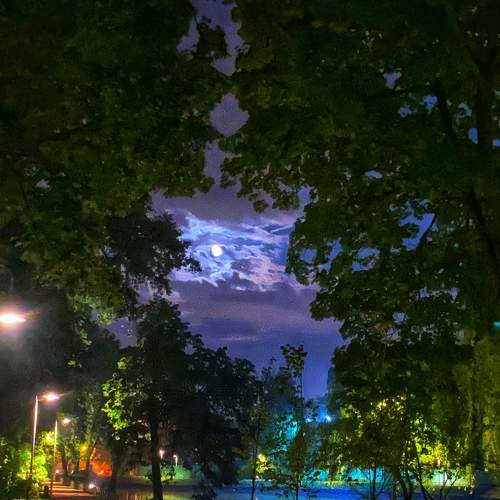 Фотография #9328285