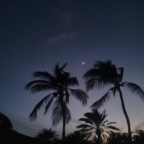 Photo #9328441