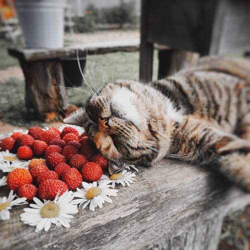 Photo #9328489