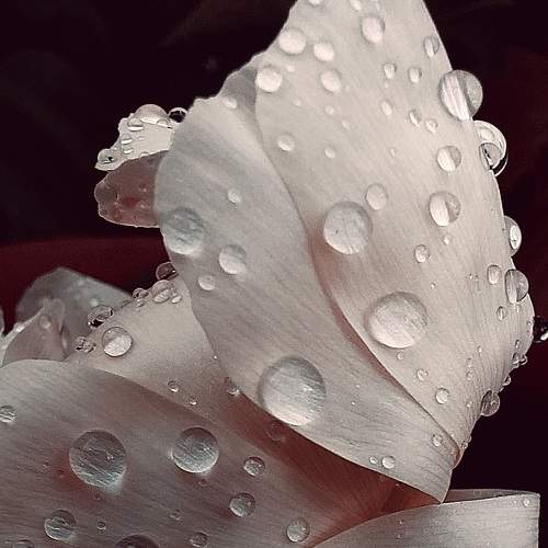 Photo #9328831