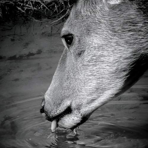 Photo #9328937