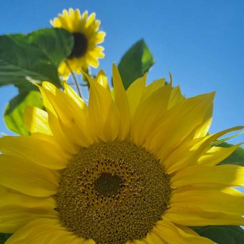 Photo #9328996
