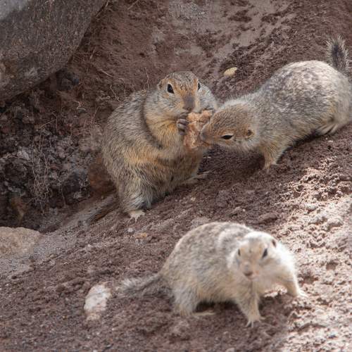 Photo #9329119