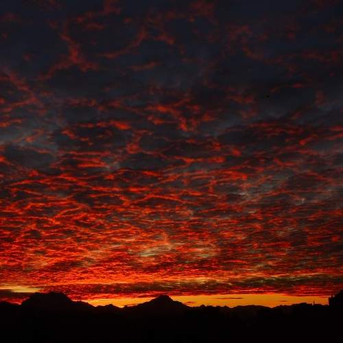 Photo #9329588