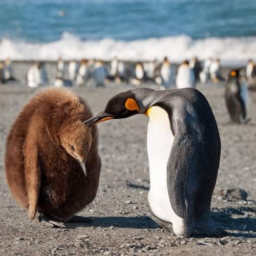 Фотография #9329736