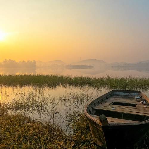 Photo #9329861