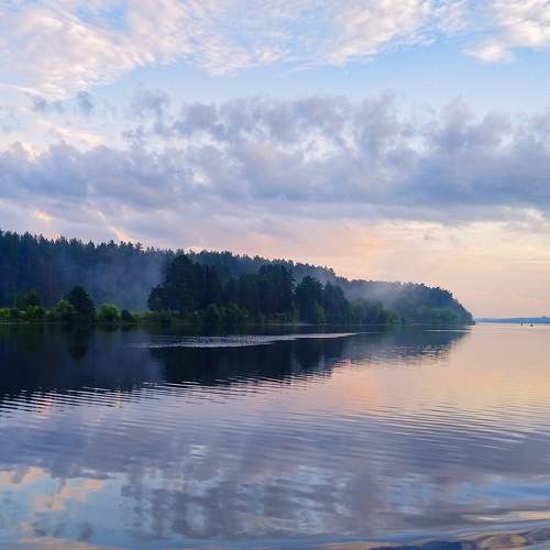 Photo #9330029