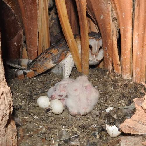 Photo #9330178