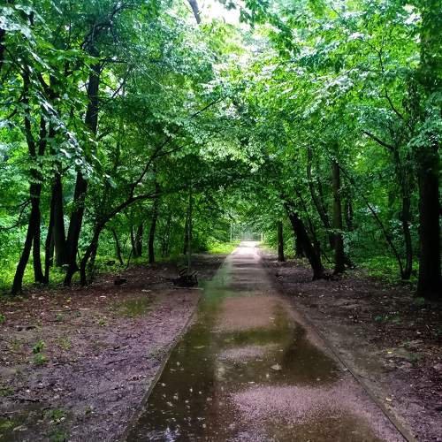 Photo #9330273