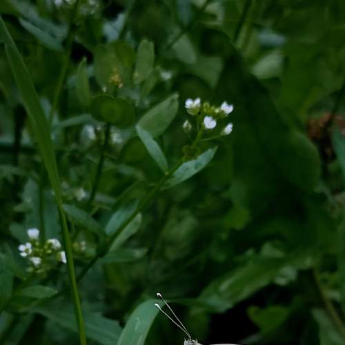 Photo #9330727