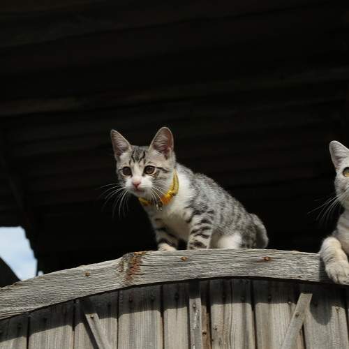 Фотография #9330816