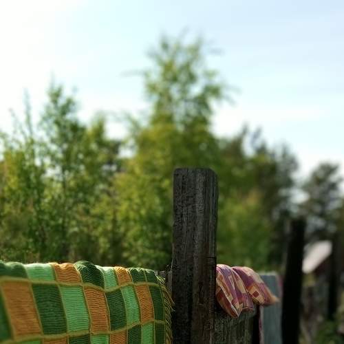 Photo #9330869