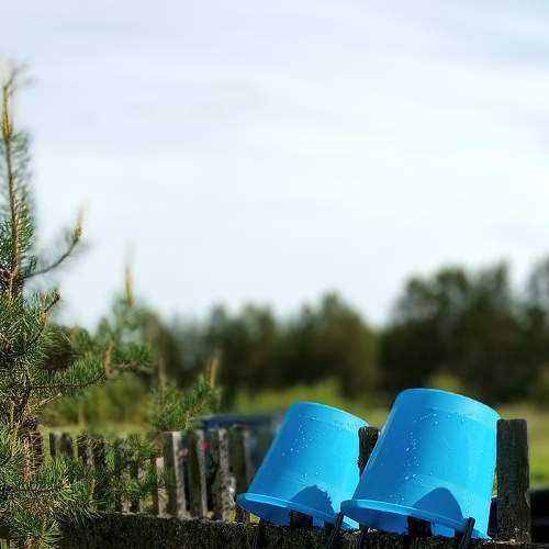 Photo #9330875
