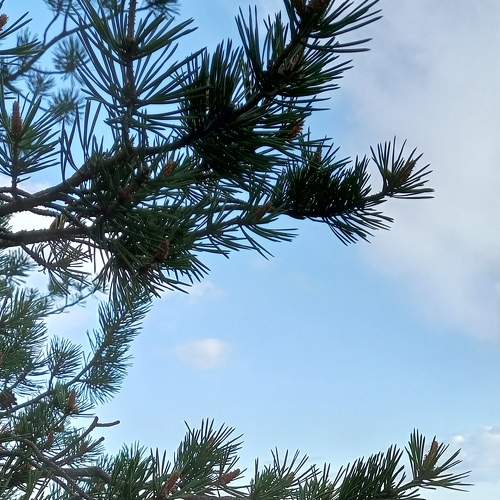 Photo #9330876