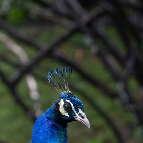 Photo #9330968