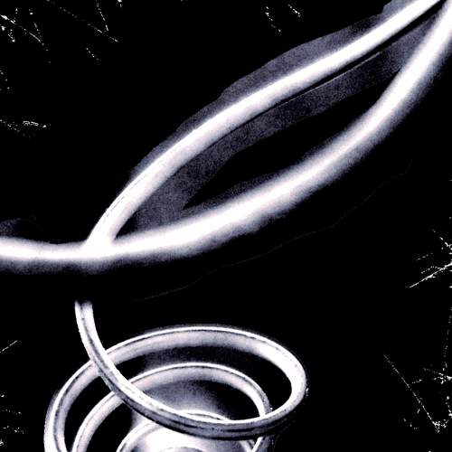 Photo #9331147