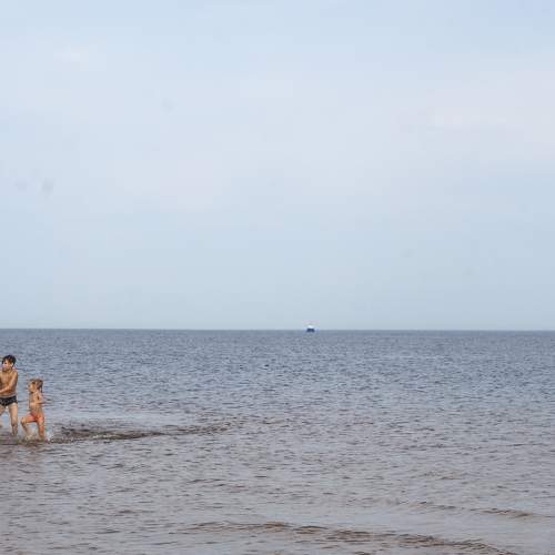 Photo #9331413