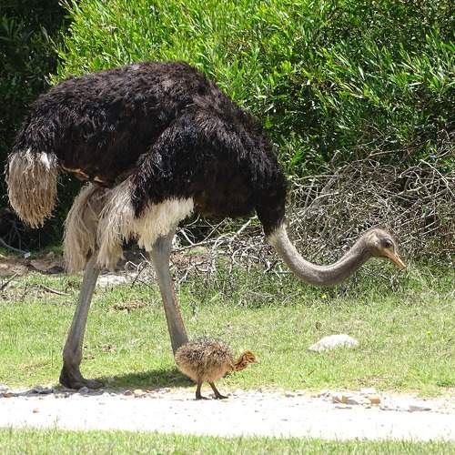 Photo #9331436
