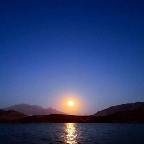 Photo #9331474
