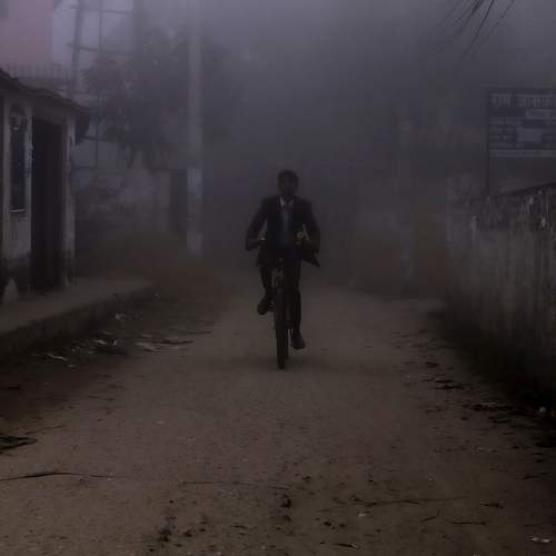 Photo #9331728