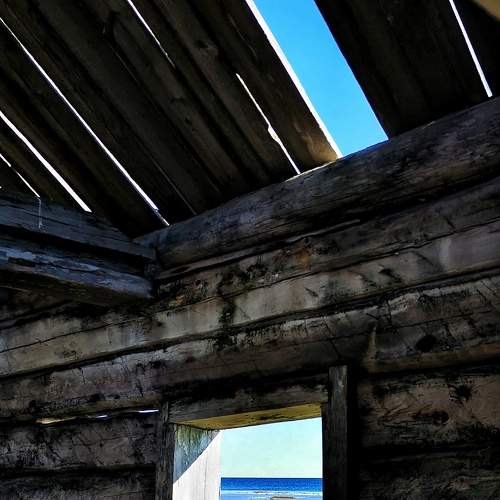 Photo #9331808