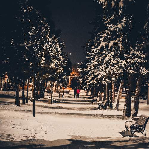 Photo #9331860