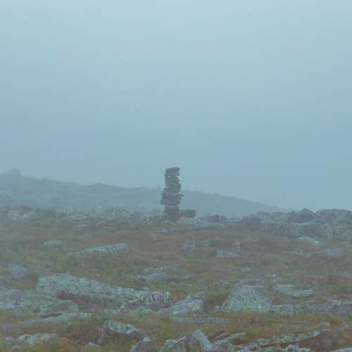 Photo #9332478