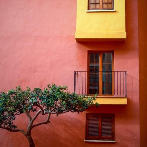 Photo #9332659