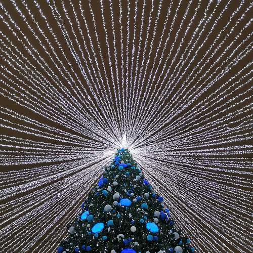 Photo #9332830