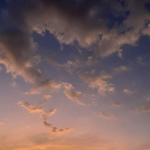 Photo #9333004