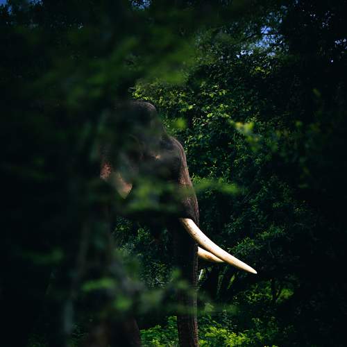 Photo #9333006