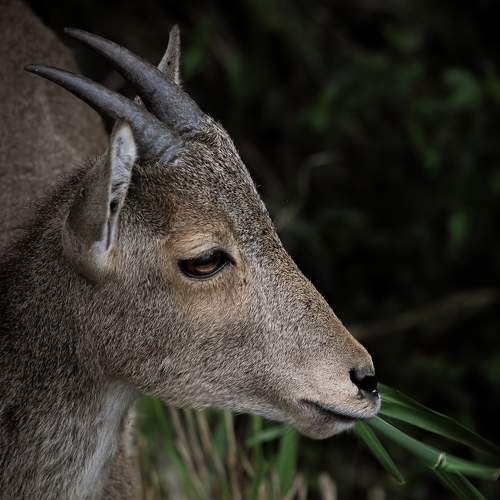 Photo #9333024