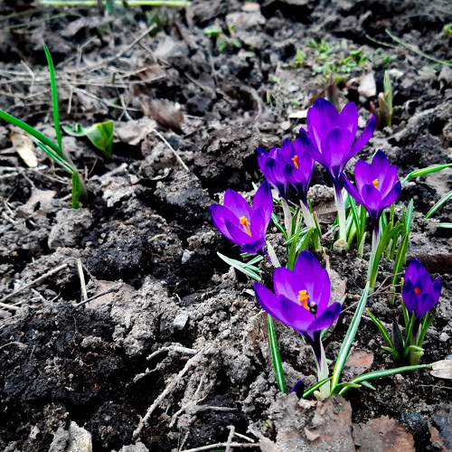 Photo #9333033