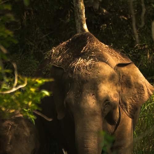 Photo #9333057
