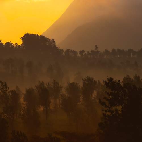 Photo #9333077