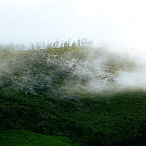 Photo #9333103