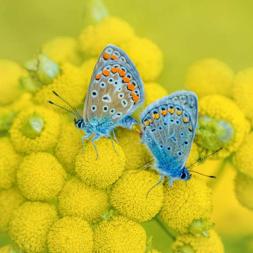 Фотография #9333135