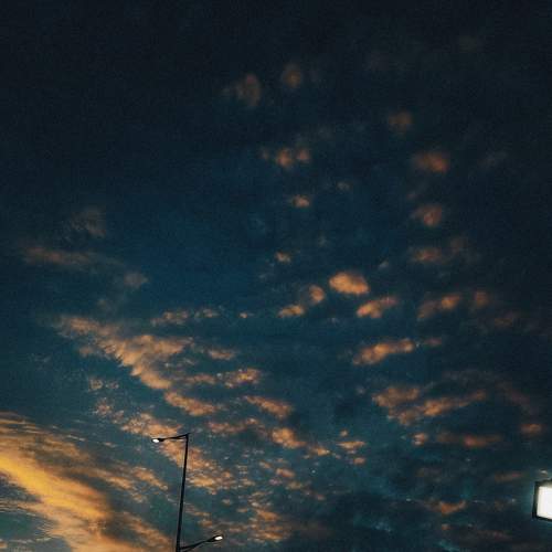 Photo #9333241