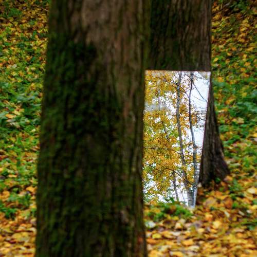 Photo #9333382